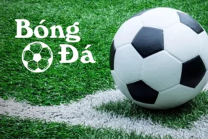 Phân Biệt Bóng Trong Cuộc Và Bóng Ngoài Cuộc Theo Luật FIFA