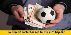 Hướng Dẫn Cách Chơi Kèo 2.75 Tài Xỉu Chi Tiết Nhất