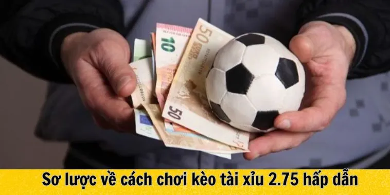 Hướng Dẫn Cách Chơi Kèo 2.75 Tài Xỉu Chi Tiết Nhất
