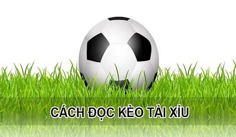 Tuyệt Chiêu Cách Chơi Kèo Tài Xỉu Hiệp 1 Bất Bại Cho Người Mới