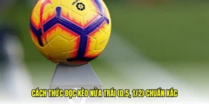 Hướng Dẫn Cách Chơi Kèo Chấp 0.5 Bất Bại Từ Các Chuyên Gia