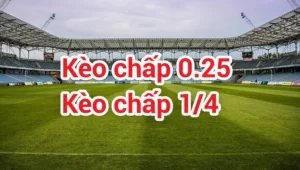 Tuyệt Chiêu Đọc Vị Kèo Chấp 0.25 Chuẩn Xác Nhất Cho Người Mới